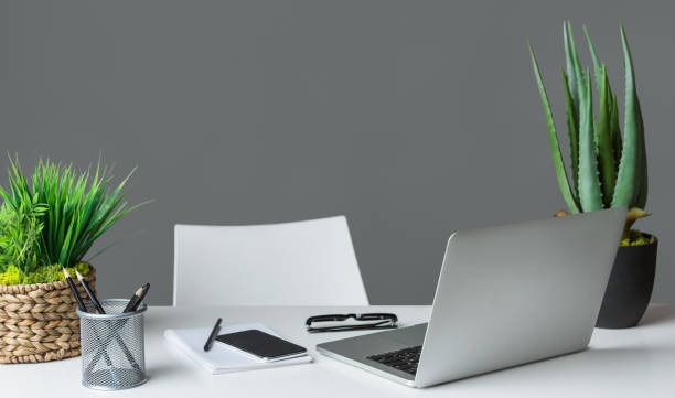 istock Designer workplace. Laptop computer and evergreen plants 1150673000