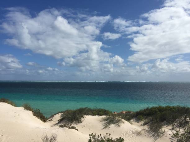 istock Photo of a Beach 1150674224