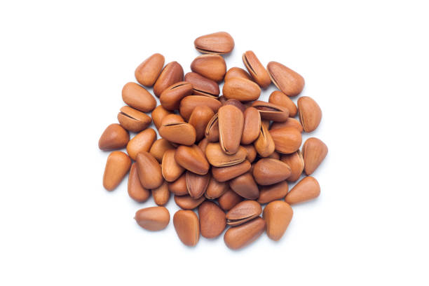 istock Pile of pine nuts 1150674482