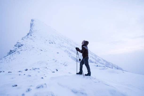 Man climber with trekking poles standing on snowy mountain peak Man climber with trekking poles standing on snowy mountain peak at norway senja island photos stock pictures, royalty-free photos & images