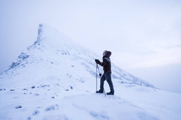 człowiek wspinacz z kijkami trekkingowymi stojącymi na ośnieżonym szczycie górskim - ski trace zdjęcia i obrazy z banku zdjęć