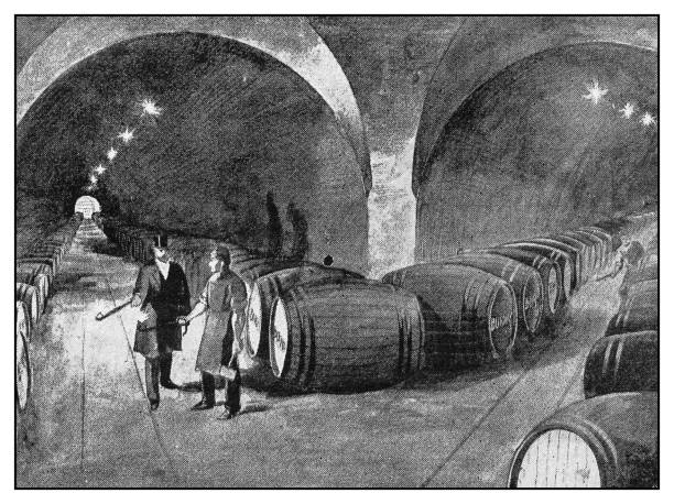 antike illustration: weinkeller - wine rack illustrations stock-grafiken, -clipart, -cartoons und -symbole