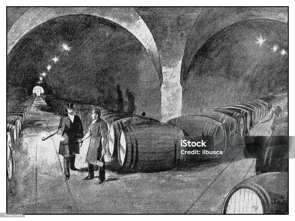 Antique illustration: Wine cellar Drawing - Art Product stock illustration