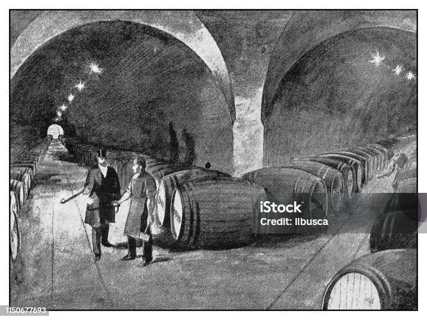 Antique Illustration Wine Cellar Stock Illustration - Download Image Now - Drawing - Art Product, Cellar, Engraved Image