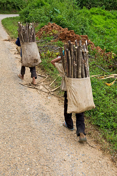 istock Child transports firewood, Laos 115068190