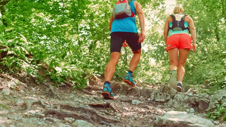 SLO MO Couple walking up the forest trail in sunshine