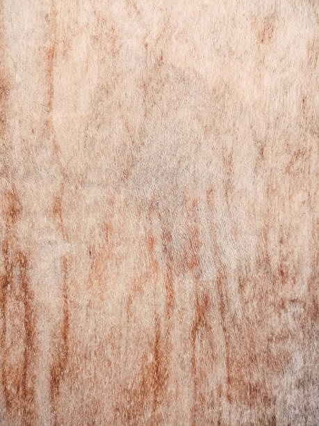 istock Vintage stained wooden wall background texture 1150689307