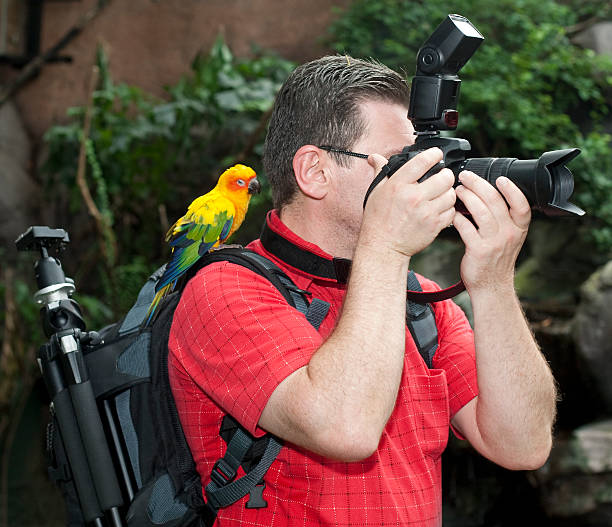 istock Photographer with bird on the shoulder 115069032