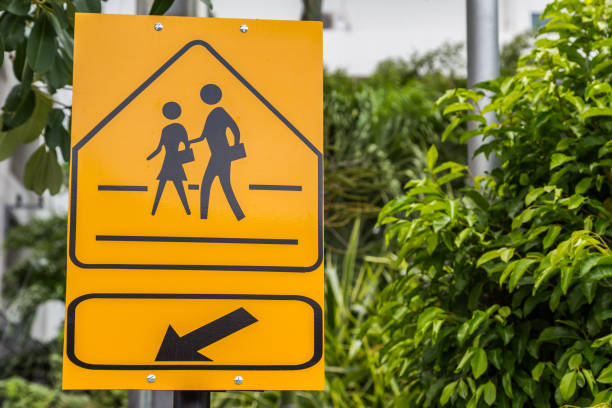 istock Traffic sign School warning sign here with green leaf 1150694836