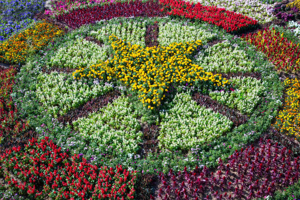 istock Vertical landscaping in the park. 1150694962