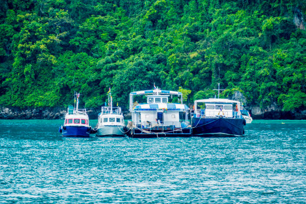 istock Scuba diving in Koh Phi Phi Krabi Thailand 1150696364