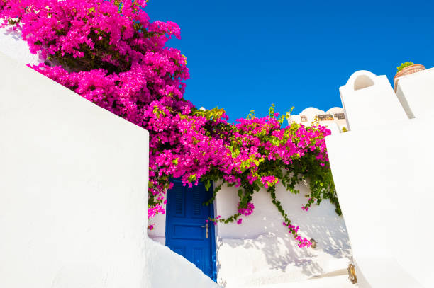 istock Traditional greek architecture on Santorini island, Greece. 1150696676