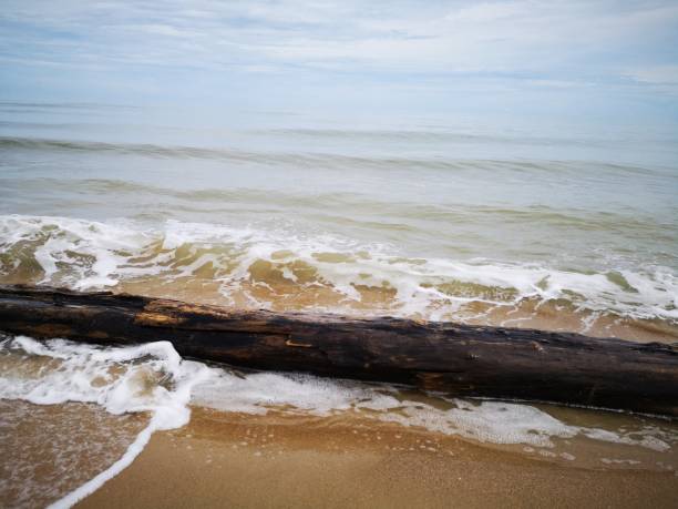 istock Beautiful splashing swash silky smooth water on the beach during sunny day. 1150699894