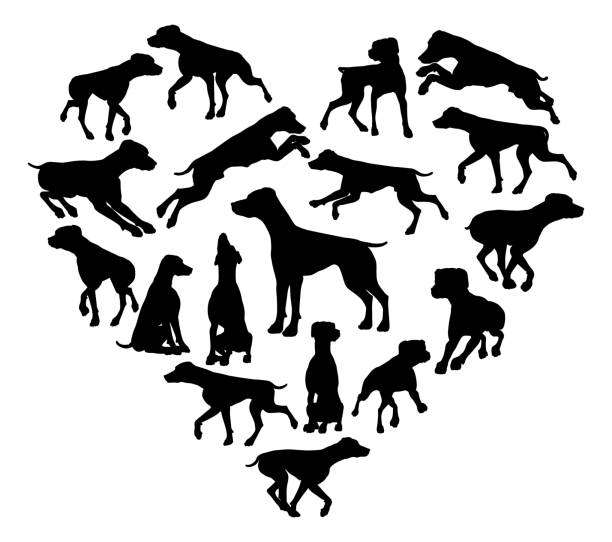 포인터 개 심장 실루엣 개념 - heart shape animal heart love symbol stock illustrations