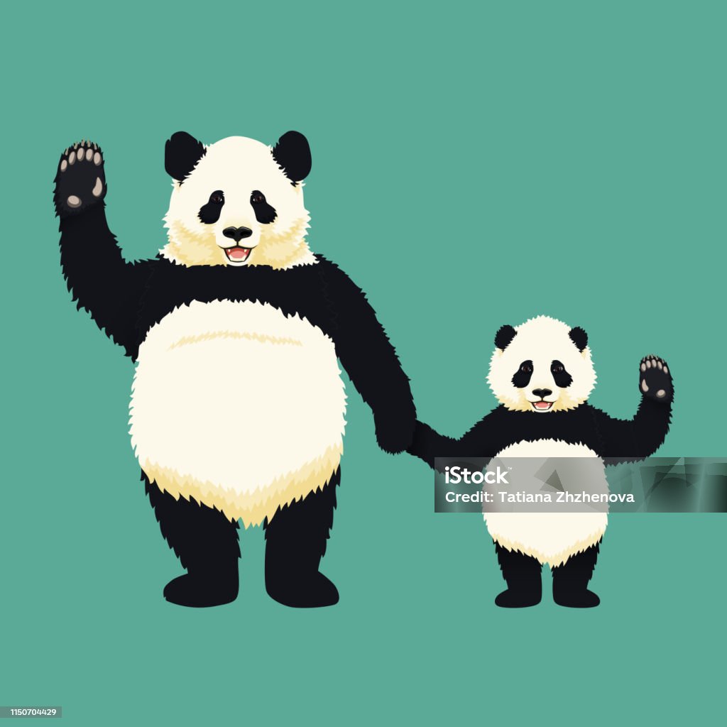 Adult giant panda and baby panda standing holding hands and waving. Chinese bear family. Mother or father and child. Rare, vulnerable species. Animal stock vector
