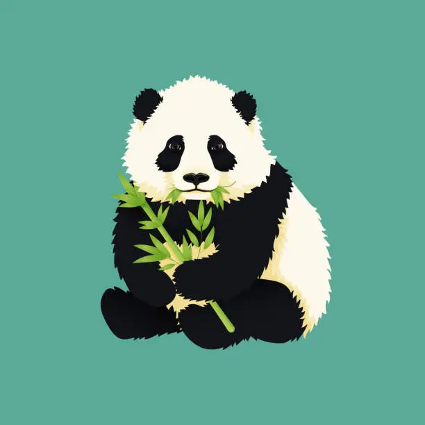 Vector illustration of Baby giant panda holding and chewing green bamboo branches and leaves. Black and white chinese bear cub. Rare, vulnerable species.