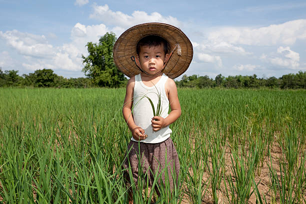 enfant de la thaïlande, dans la rizière - reisbauer photos et images de collection