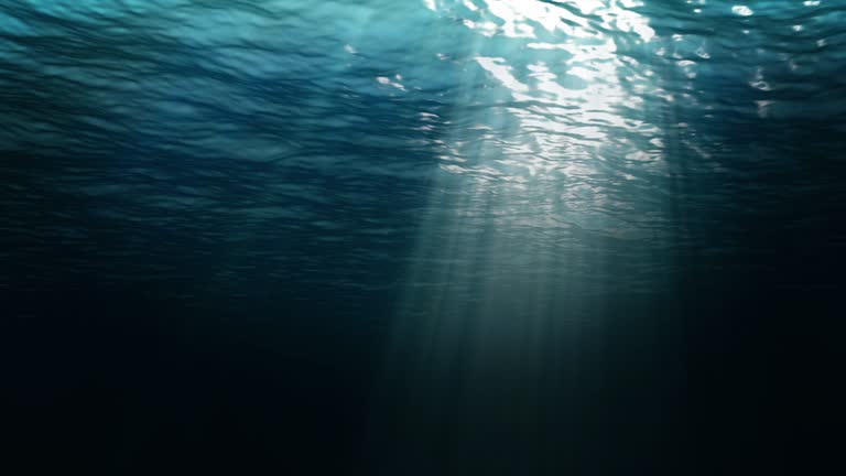 Fondo bajo el agua 2 descarga Motion Graphics y fondos gratis Naturaleza Fondo bajo el agua 2 descarga Motion Graphics y fondos gratis Naturaleza