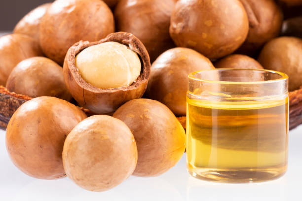 istock Nuts and macadamia oil - Macadamia integrifolia. 1150712703