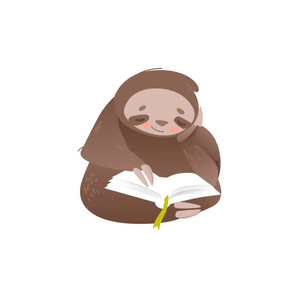 Cute sloth sitting and reading book with interest. Cute sloth sitting and reading book with interest isolated on white background - lovely and adorable lazy animal studying or resting in flat style. Vector illustration of funny cartoon character. slow motion face stock illustrations