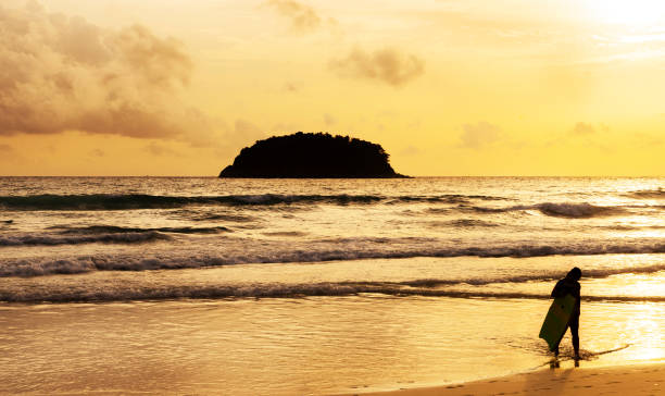 istock Beach sunset or sunrise with surfing 1150715764