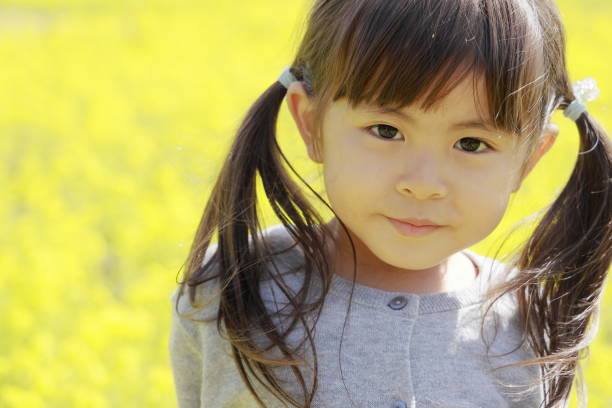 japońska dziewczyna i musztarda polowa (4 lata) - mustard plant mustard field clear sky sky zdjęcia i obrazy z banku zdjęć