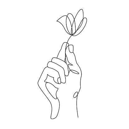 Hand holding a flower, tulip.Continuous line drawing.