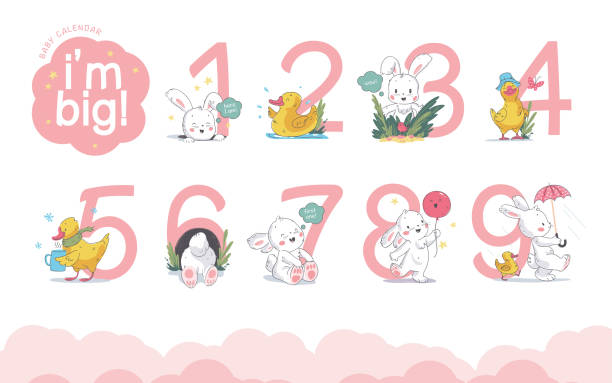 ilustraciones, imágenes clip art, dibujos animados e iconos de stock de vector conjunto de números de calendario de bebé/numeros con lindo conejito y pato caminar, sonreír, sentarse aislado sobre fondo blanco. - rabbit baby rabbit hare standing