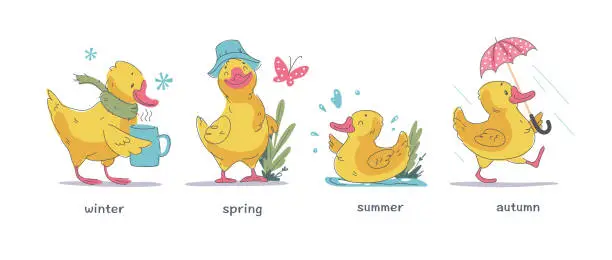 Vector illustration of Vector set of cute little yellow baby duck character walking, swimming, smiling isolated on white background in different seasons.