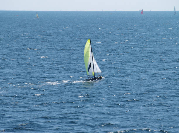 istock cat sailboat on the Fehmarnsund 1150719740
