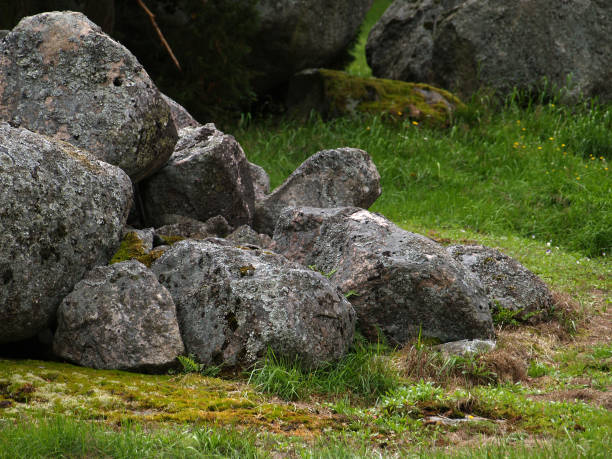 istock pile of rocks in the forest 1150719785