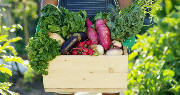 istock Looks like a bountiful harvest 1150721287