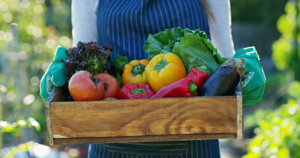 istock This year's harvest has been good 1150721289