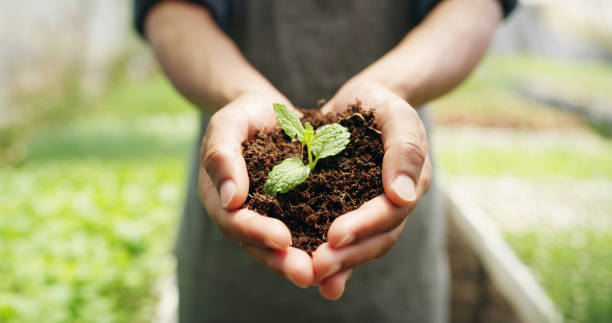 istock Nurturing life with his own two hands 1150721308