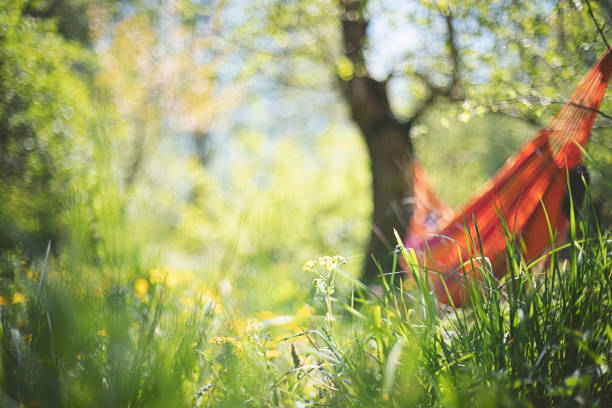 hamac dans un jardin de conte de fées sous les pommiers en été - hamac photos et images de collection