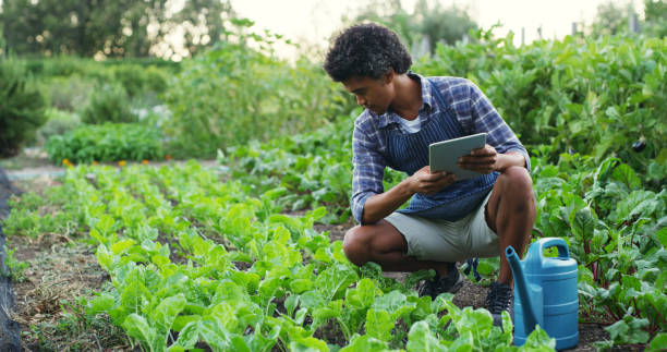 istock It's the best way to manage a farm 1150721968