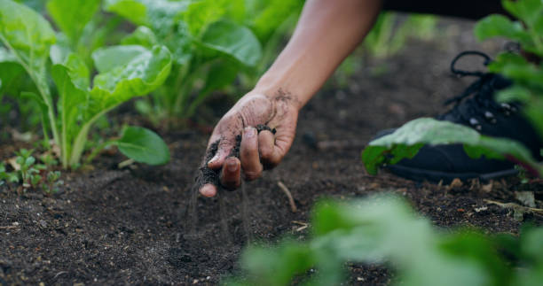 istock You can feel when soil is ready for planting 1150721973