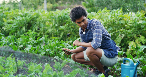 istock Taking care of his crops 1150721991