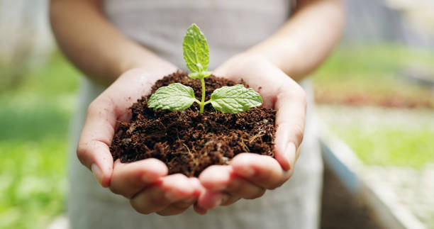 istock Just like my farm, it's starting off small 1150722302
