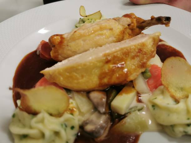 gourmet food plate kitchen