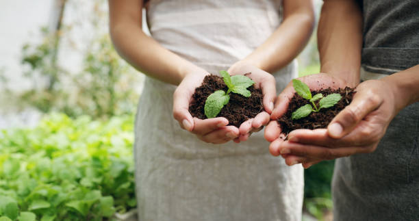 istock These will be the first plants in the ground 1150723093
