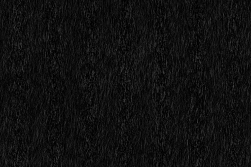 Abstract black animal hair texture background. Close up detail of artificial horse fur skin. Natural wildlife concept