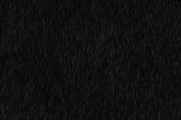 Dark Black Animal Hair Texture Background Stock Photo - Download Image Now  - Animal Hair, Black Color, Fur - iStock