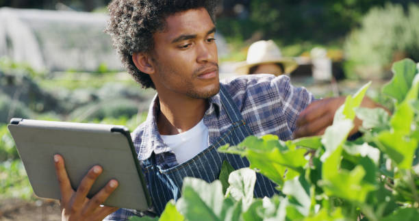 istock Keeping a digital record of his crops' progress 1150724126