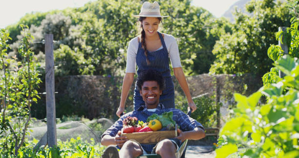 istock Working on the farm can be a lot of fun 1150724143