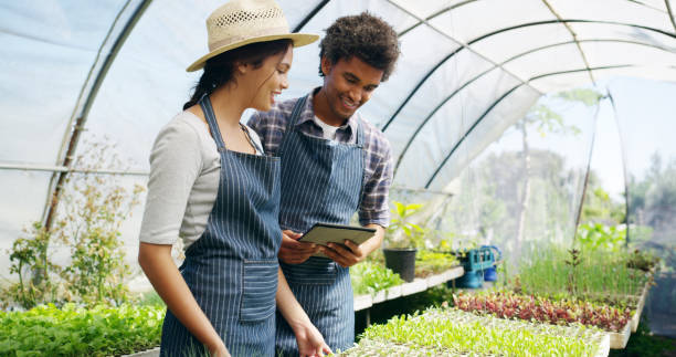 istock Keeping track of things on their greenhouse 1150724151