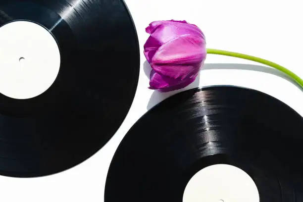 Horizontal image of musical records and flower