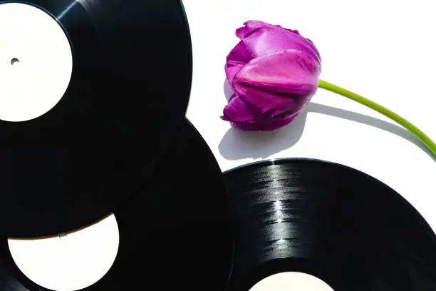 Horizontal image of 3 musical records and flower