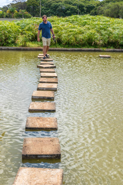 A row of concrete stepping stones leading across a shallow river in a forest environment. The stones create a visual pathway that symbolizes progress, choices, direction, and exploration. Suitable for nature scenes, travel concepts, metaphorical imagery, and outdoor design references.