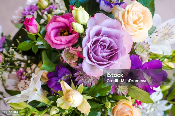 Foto de Variedade De Flores Frescas Ramalhete Colorido Da Mistura Da Flor  Decoração Da Flor e mais fotos de stock de Amarelo - iStock